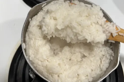 Overcooked Rice