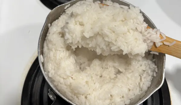 Overcooked Rice